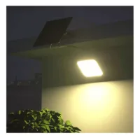 Reflector Solar 60w - Image 2